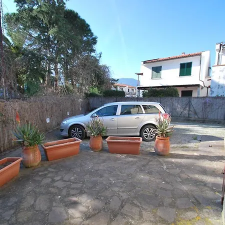 Conchiglia Marina di Campo